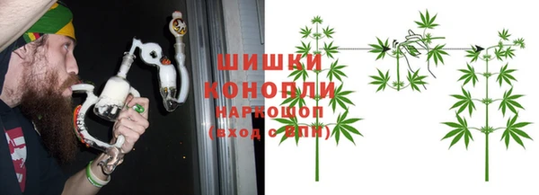 шишки Пересвет