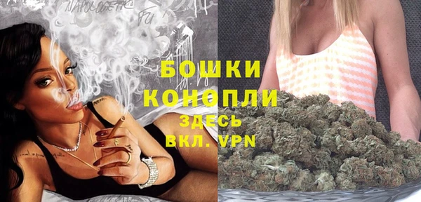 шишки Пересвет