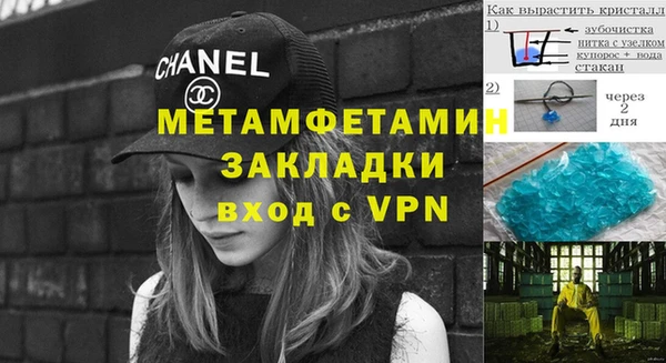 шишки Пересвет