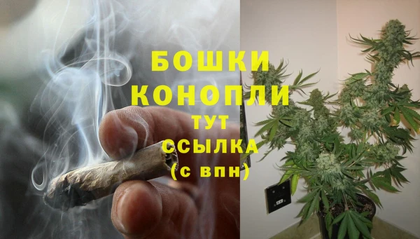 хмурый Арсеньев