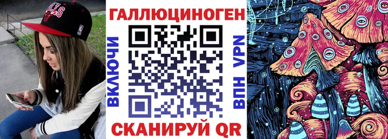 закладки  Аткарск  Псилоцибиновые грибы Psilocybe 